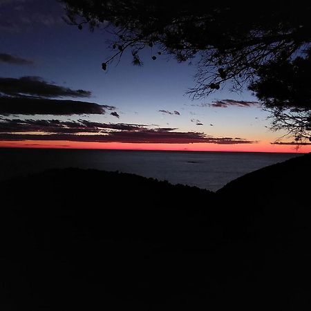 Apartmani Marija Mljet Sobra Bagian luar foto